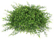 Vickerman Ff170602 18" Artificial Green Mixed Greenery Half Ball