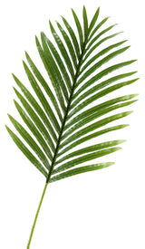 Hawaiian Palm Leaf, Set of 3, Large