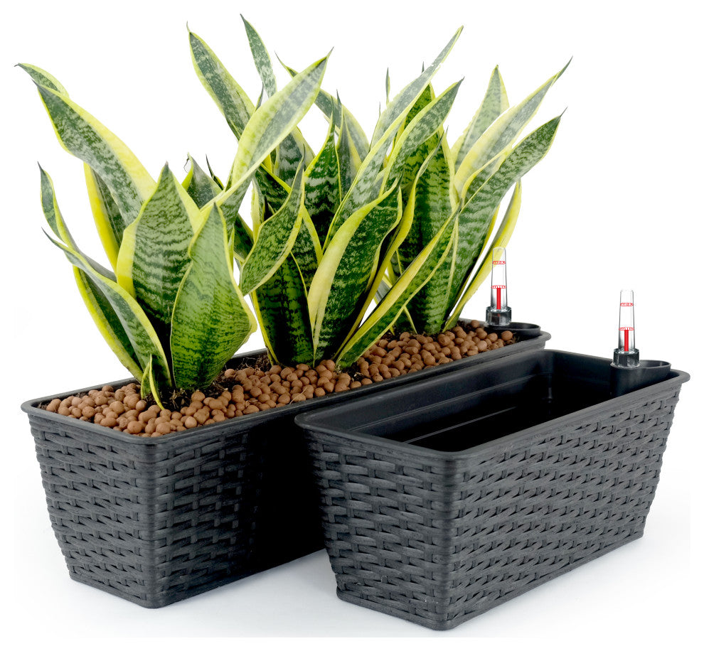 DTY Signature Rectangular Wicker Planters, Set of 2, Espresso