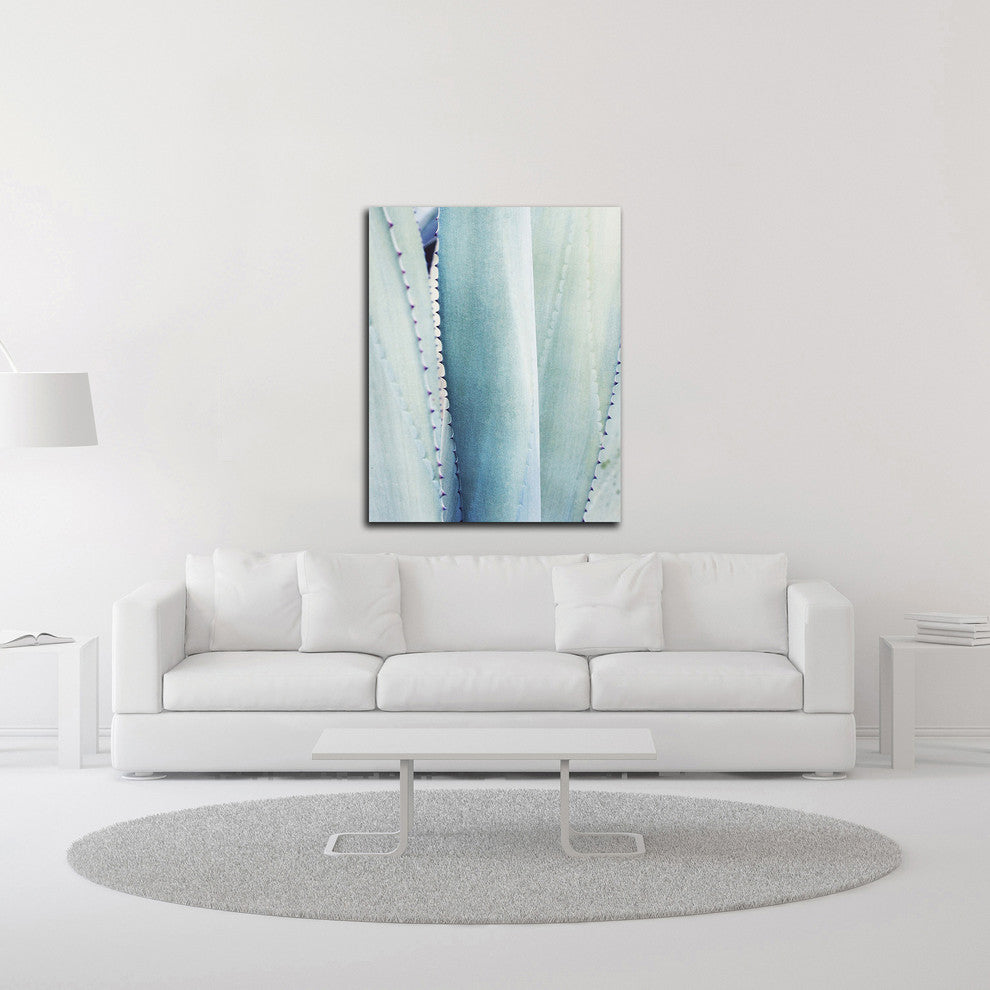 Pale Blue Agave No. 3 by Lupen Grainne, Print on Canvas, 24" x 30"