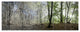 Green Morning in Forest Panorama, Landscape Canvas Art Print, 70"x28", 6 Panels