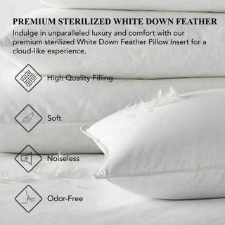 A1HC Throw Pillow Insert, Down Feather Filled, Set of 2, 16"x16"