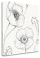 "Blossom Sketches I" By Daphne Brissonnet, Giclee Print on Gallery Wrap Canvas