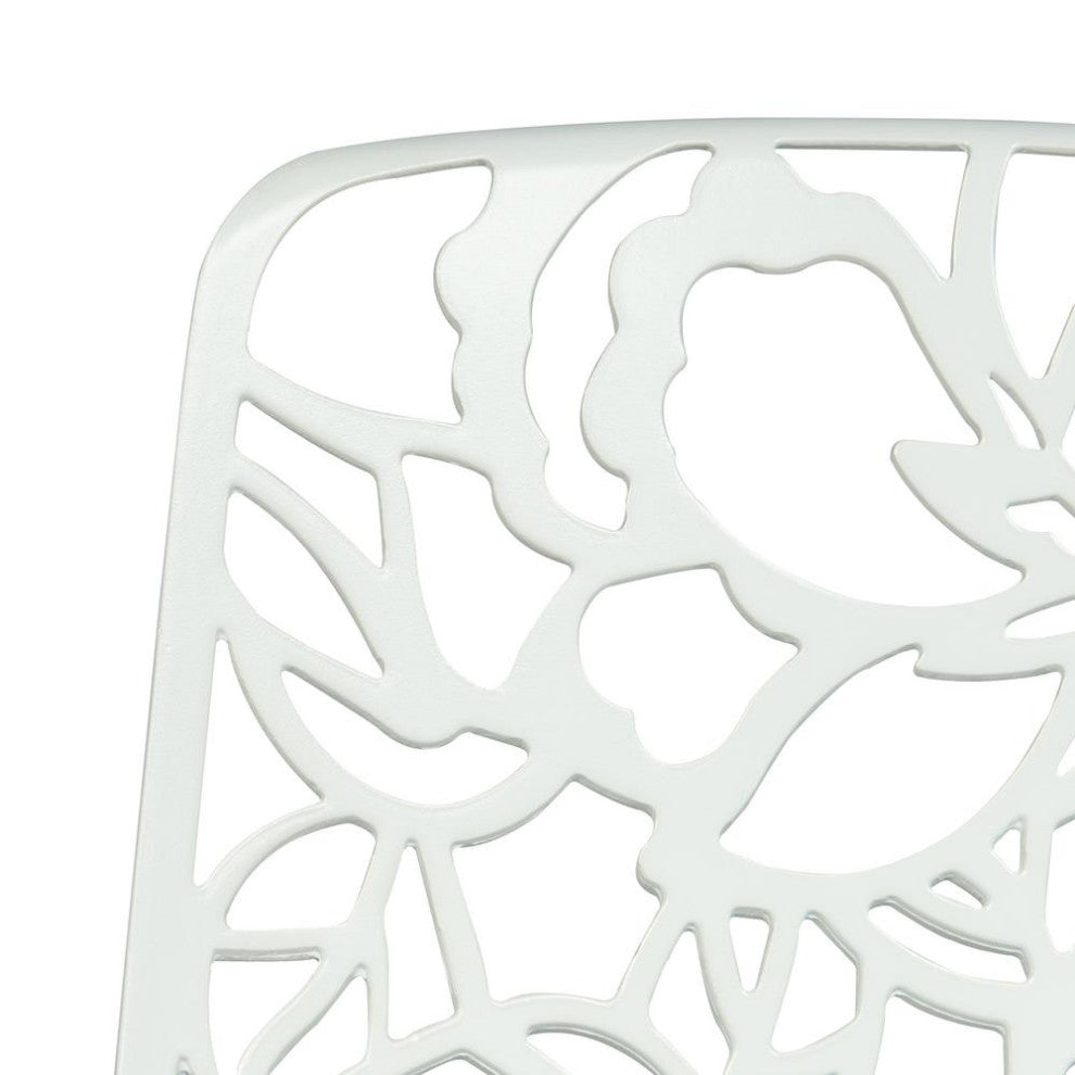 LeisureMod Modern Devon Aluminum Chair, Set of 2 DC23W2