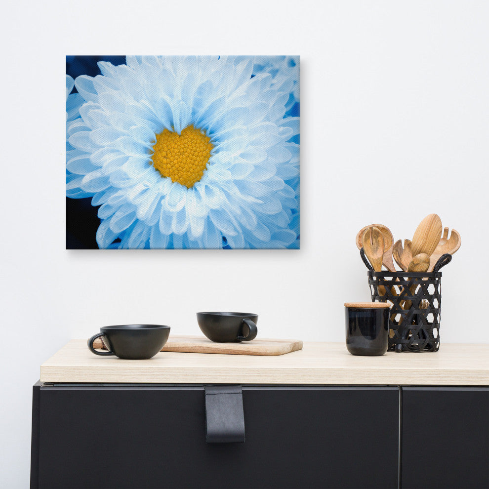 Blue Tinted Chrysanthemums Nature Photo Botanical Floral Canvas Wall Art Print, 16" X 20"