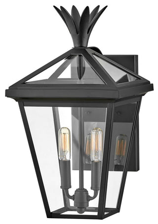 Hinkley Palma Medium Wall Mount Lantern, Black