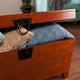 Dorset Trunk Cocktail Table, Oak
