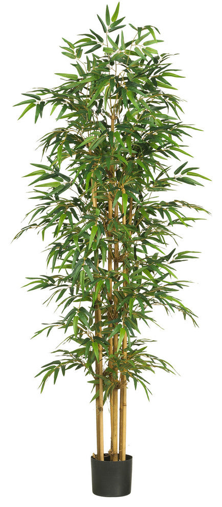 75" Bamboo Silk Tree