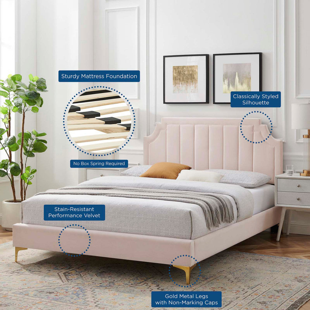 Platform Bed Frame, Queen Size, Velvet, Pink, Modern Contemporary, Bedroom
