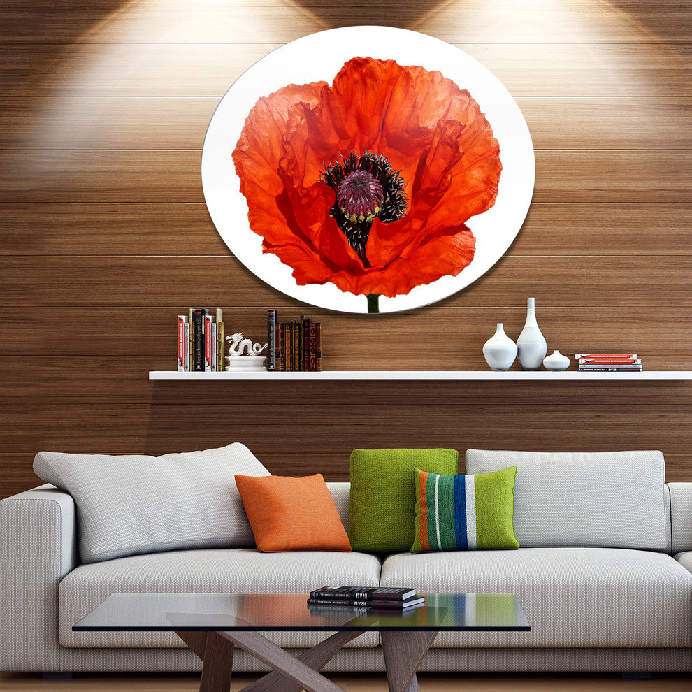 Red Poppy Blossom Close-Up, Modern Floral Round Metal Wall Art, 23"