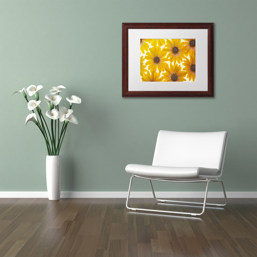Cora Niele 'Yellow Cape Daisies' Matted Framed Art