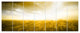 Yellow Meadow under Bright Sun, Landscape Canvas Art Print, 83"x32", 7 Panels