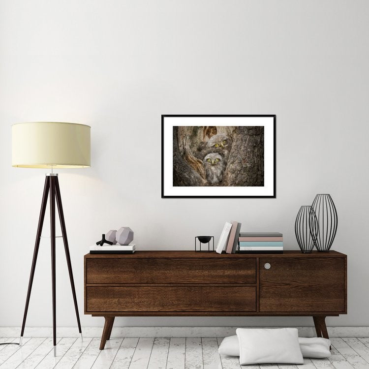 "Civ and Civ" Framed Digital Print by Ghizzi Panizza Alberto, 38"x28"