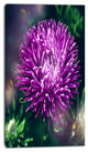 Chrysanthemum Flower with Bokeh, Flowers Canvas Wall Artwork, 16"x32"