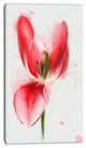 Wonderful Red Poppy Watercolor, Floral Canvas Art Print, 16"x32"
