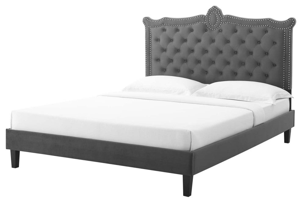 Platform Bed Frame, Nailhead, Queen Size, Charcoal Gray, Velvet, Modern