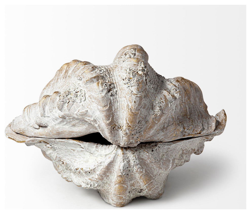 Large 3D Whitewash Seashell Sculptural Box