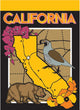 Double Applique California Symbols Polyester Garden Flag