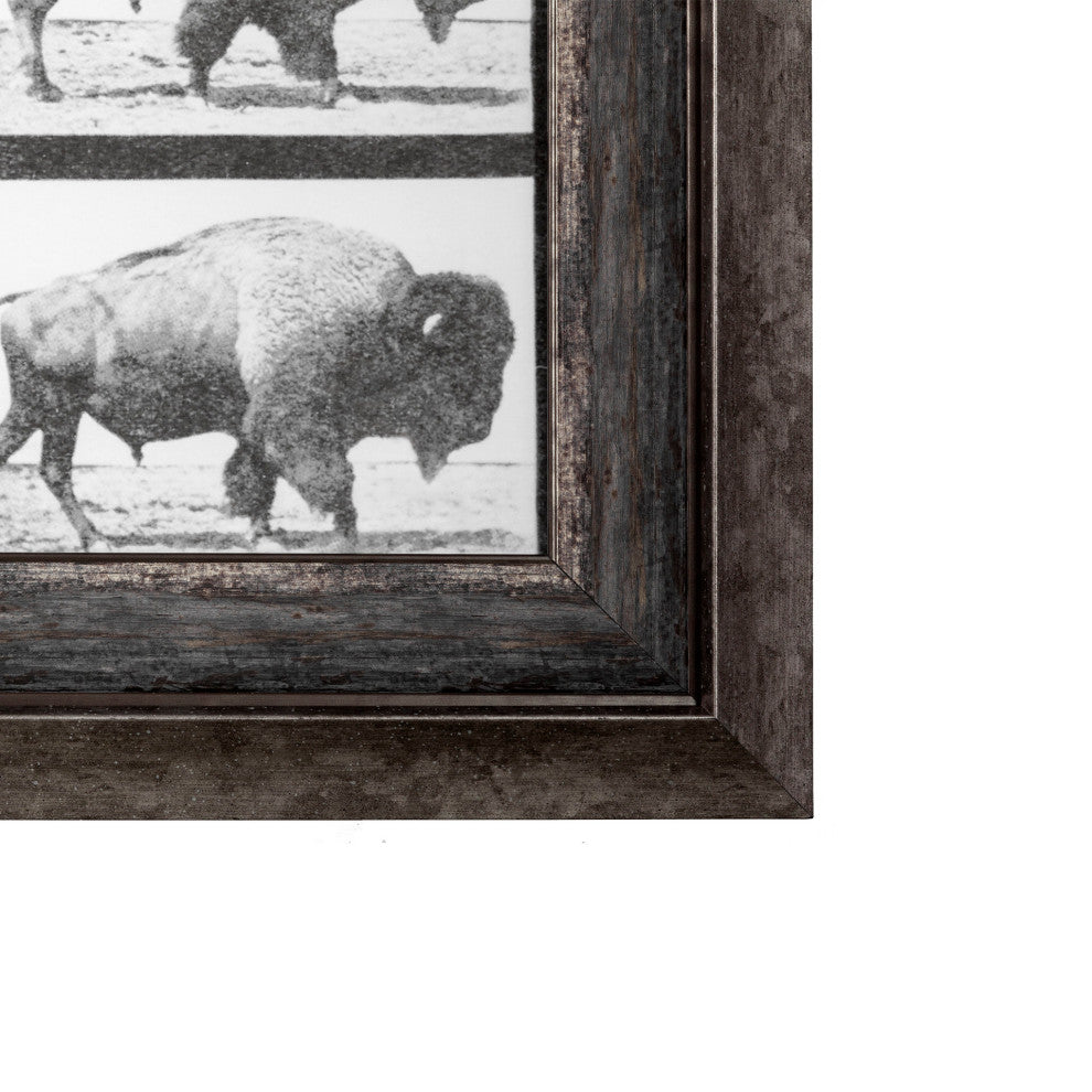 Buffalo Walking Photographic Negative