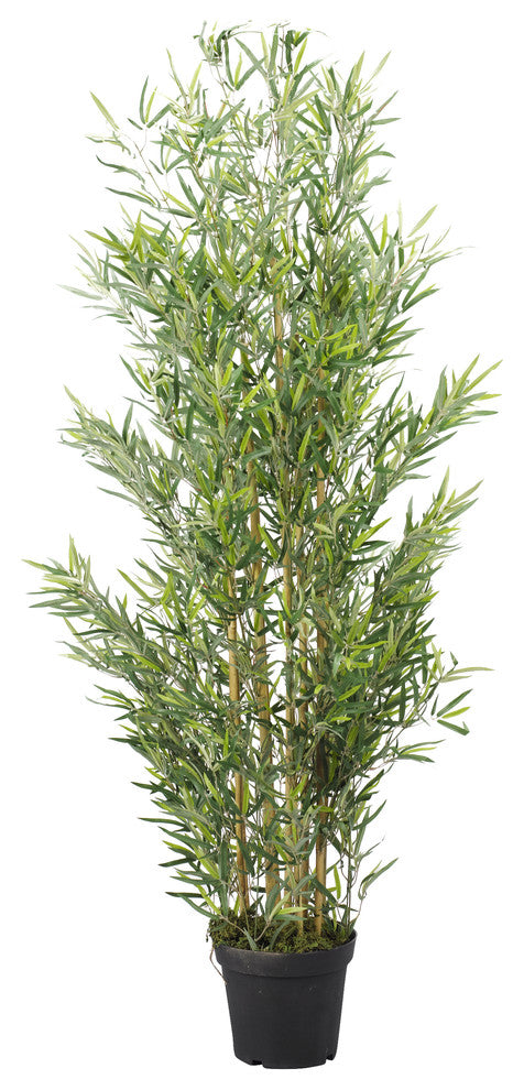 72" Bamboo Tree