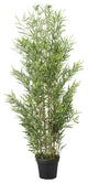 72" Bamboo Tree
