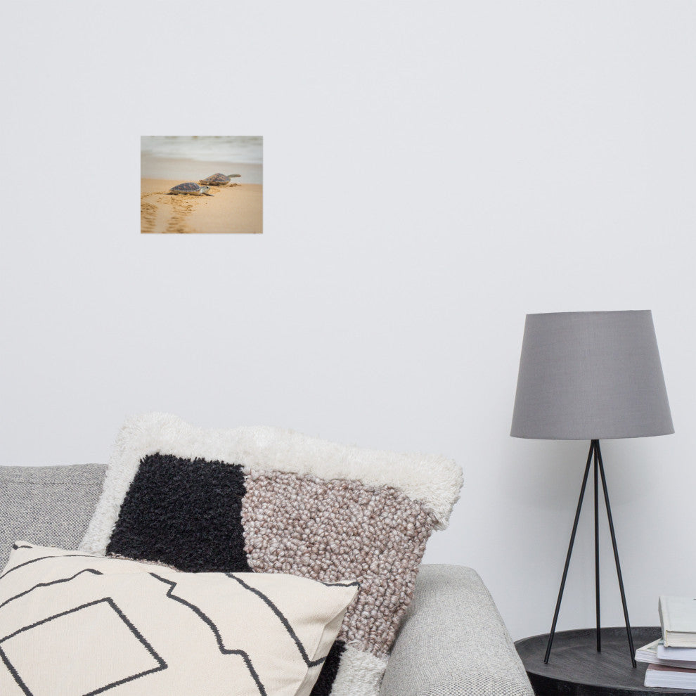 Baby Hawksbill Sea Turtle On The Beach Animal Wildlife Loose Wall Art Print, 8" X 10"