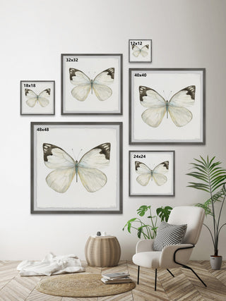 "Rainforest Butterfly" Framed Painting Print, 18x18