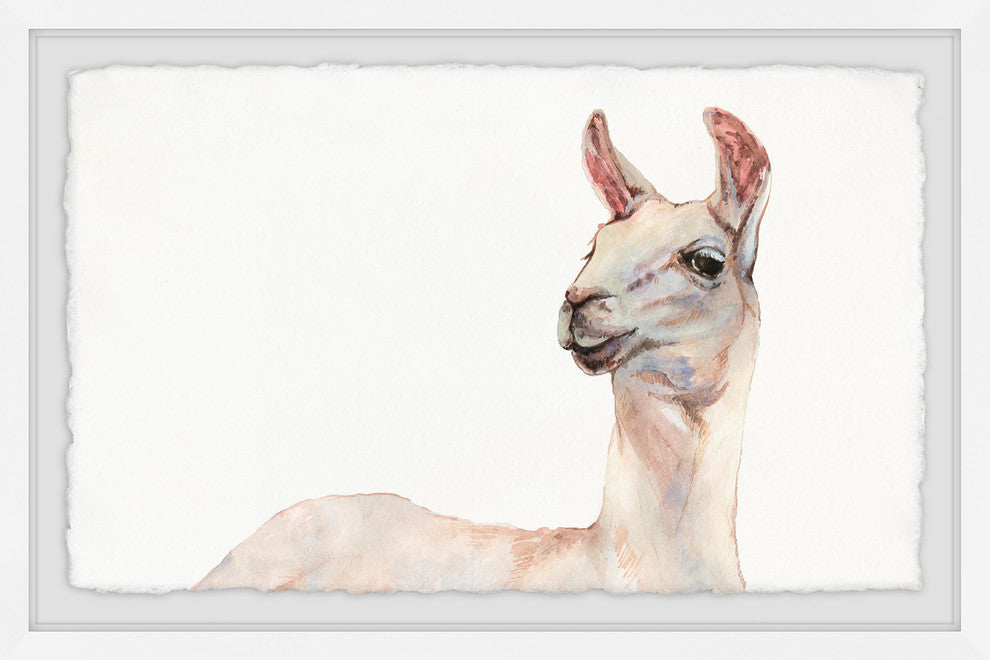 "Hey There Llama" Framed Painting Print, 30"x20"