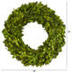 14" Preserved Boxwood Wreath