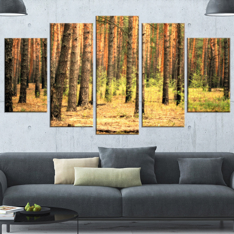 Beautiful Pine Forest at Sunset, Modern Forest Canvas Art, 60"x32", 5 Panels