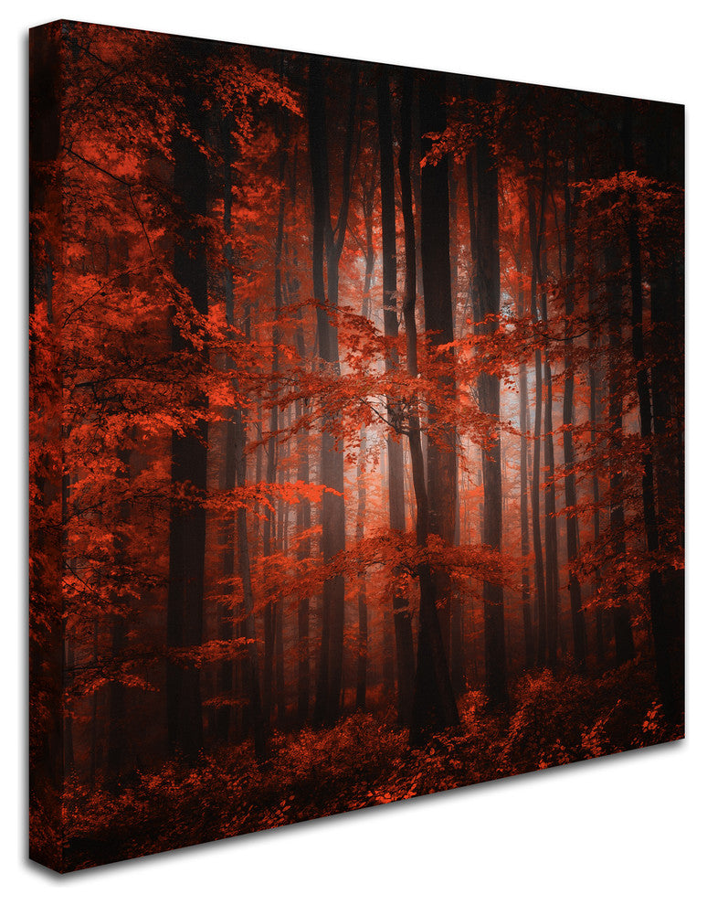 'Red Parallel Universe' Canvas Art by Philippe Sainte-Laudy