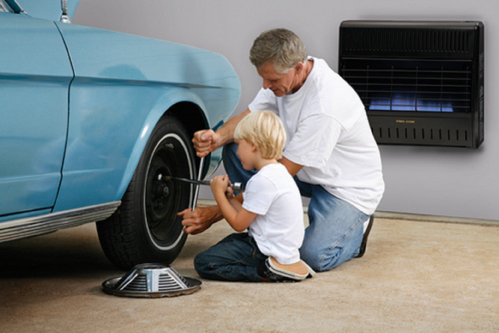 ProCom Dual Fuel Ventless Blue Flame Garage Heater - 30,000 BTU, T-Stat