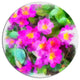 Pink Little Flowers With Green Leaves, Floral Disc Metal Wall Art, 23"