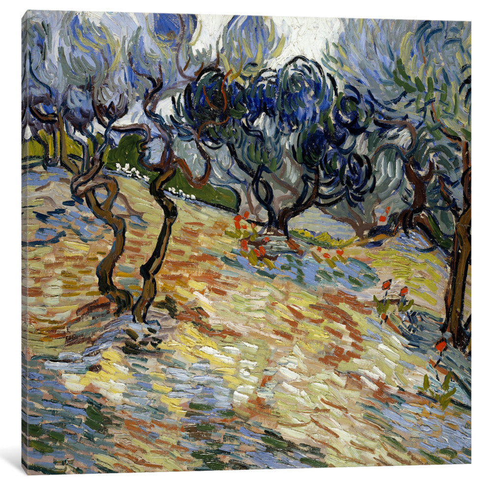 "Olive Trees" by Vincent van Gogh, Canvas Print, 18x18"
