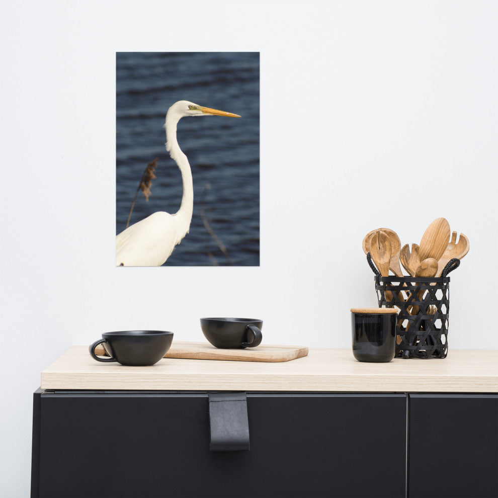 Great White Egret Wildlife Photography Unframed Wall Art Print, 12" X 18"