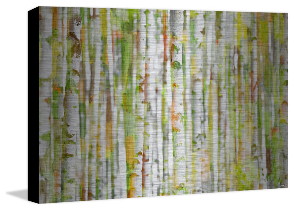 "Into the Trees" UV Ink Print on Brushed  Aluminum, 36"x24"