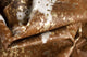 6'x7' Scotland Cowhide Rug, Gold/Brown/White