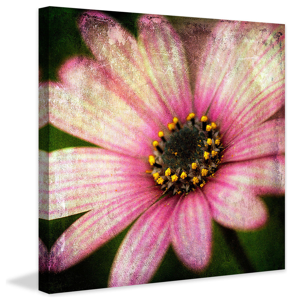 "Pink Daisy Panel 2" Painting Print on Canvas by Malek