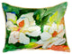 Magnolia Small Indoor/Outdoor Pillow 11x14 - Set of Two