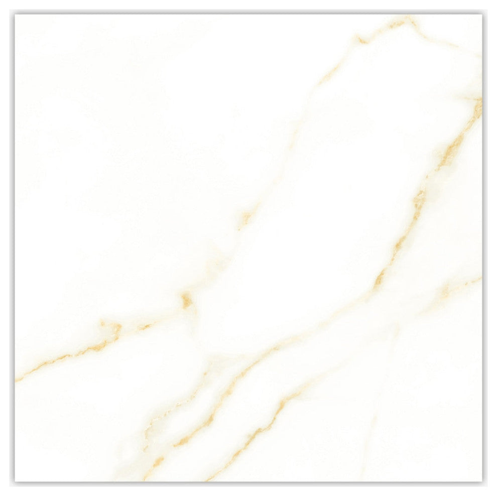 Emotion Calacatta Oro Polished 24x24 Porcelain Tile