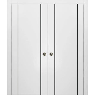 French Double Pocket Doors 60x96 | Planum 0016 White Silk | Kit Trims Rail