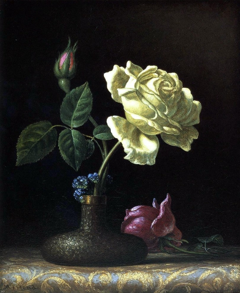 Martin Johnson Heade The White Rose, 20"x25" Wall Decal Print