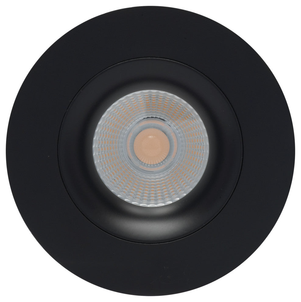 12 Watt LED Downlight - Gimbaled - 3.5 in. - 120 Volt - Round - Remote Driver