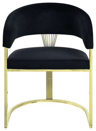 ACME Furniture Fallon 19" Hollow Back Velvet & Metal Side Chair in Black/Gold