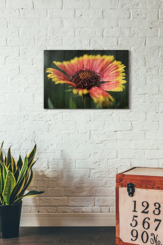 Epic Graffiti "Wood Series: Sunburst" Giclee Canvas Wall Art, 18"x26"