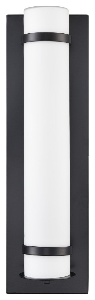 LED Light 6 in. Powder Coated Black Outdoor