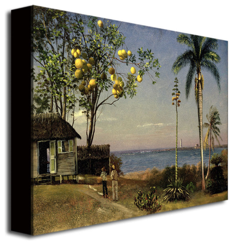 'Tropical Scene' Canvas Art by Albert Biersdant