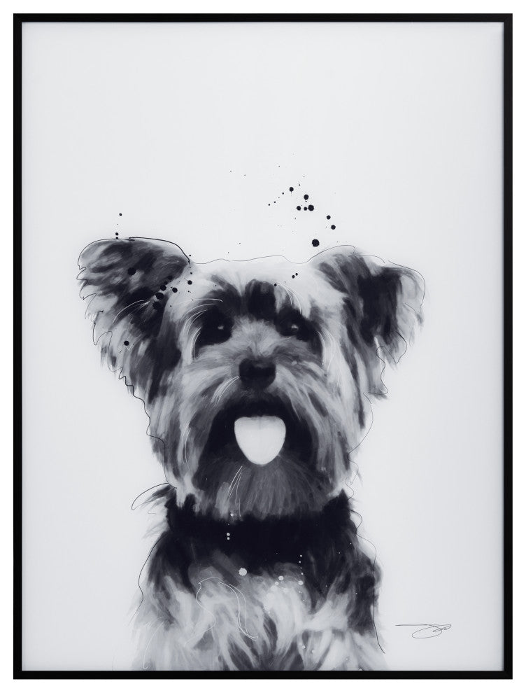 "Yorkshire Terrier" Black and White Pet Art on Printed Glass with Anodized Frame