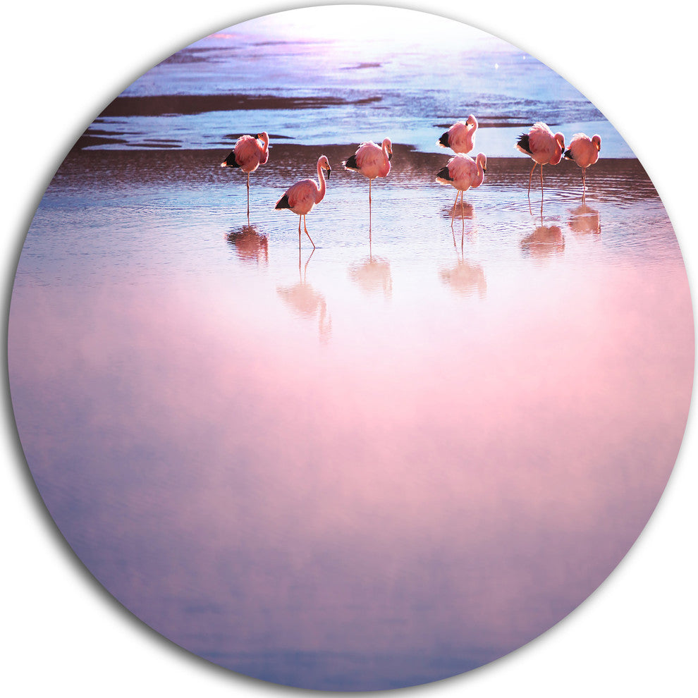Flamingo Birds On Bolivia Beach, Beach Disc Metal Wall Art, 36"