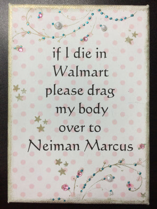 Paisley Mini Canvas, If I Die In Walmart